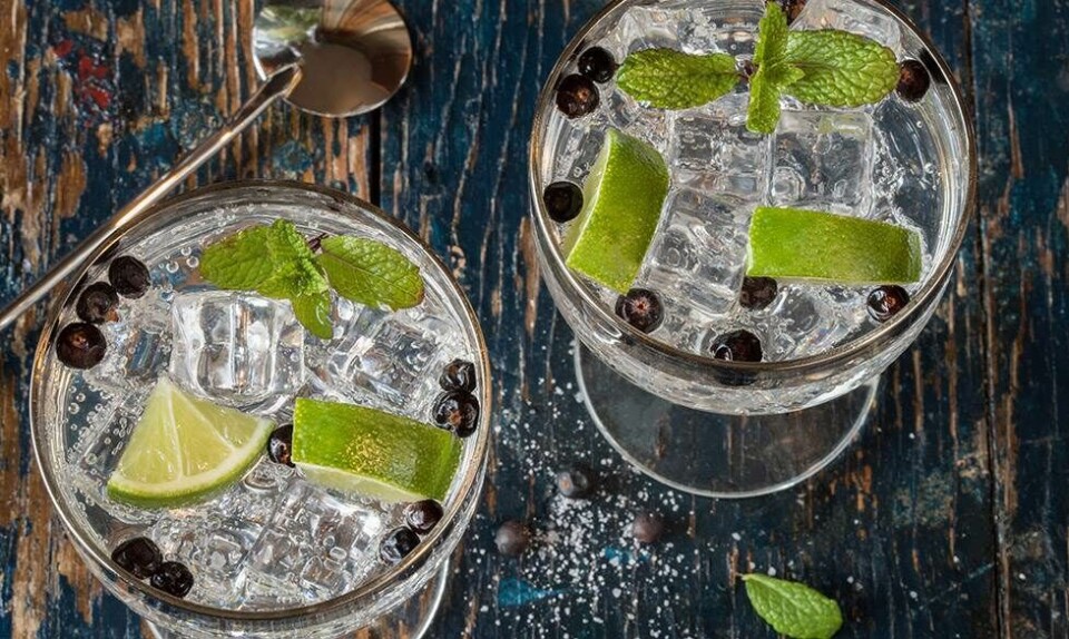 Europa har fået en gin-spa