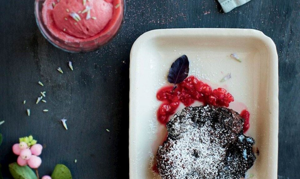 Hindbærsorbet i cava med Gateaux Moelleux au Chocolat og hindbærcoulis