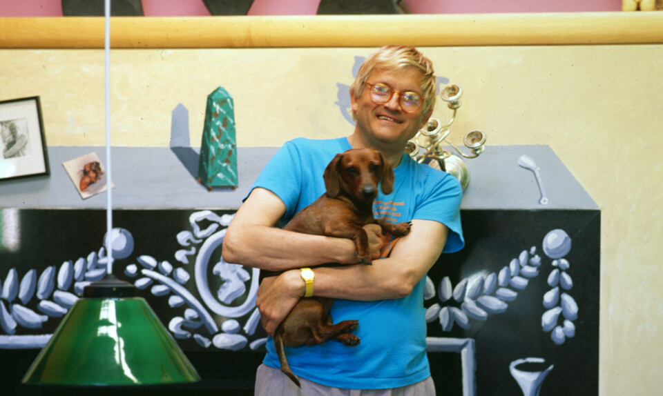 David Hockney Portræt Eurowoman
