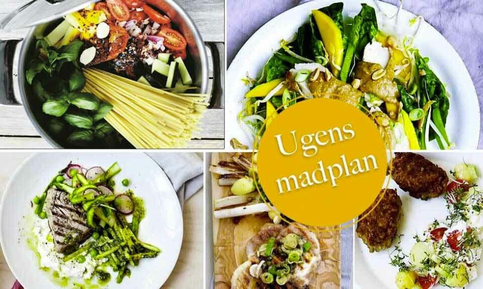 Madplan med nem aftensmad til hele familien