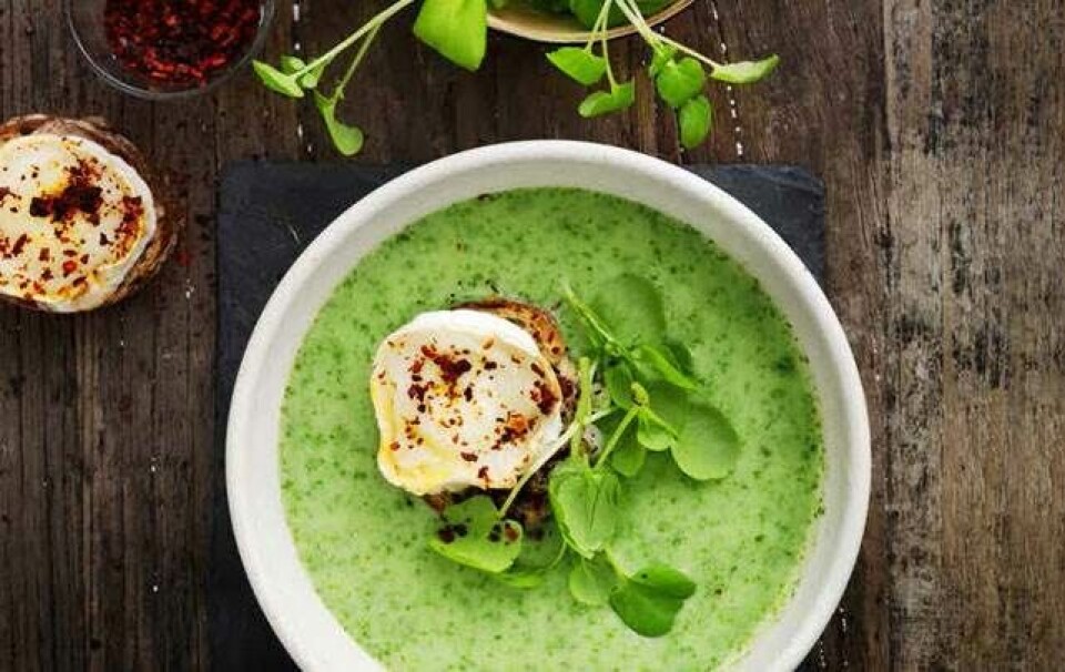 suppe opskrift
