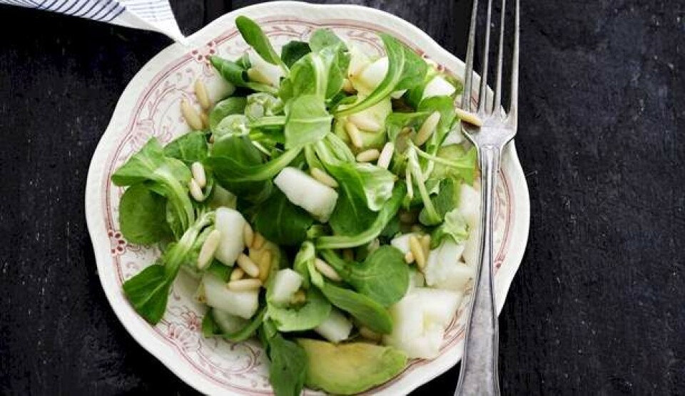 Opskrift på salat med avocado, melon og pinjekerner