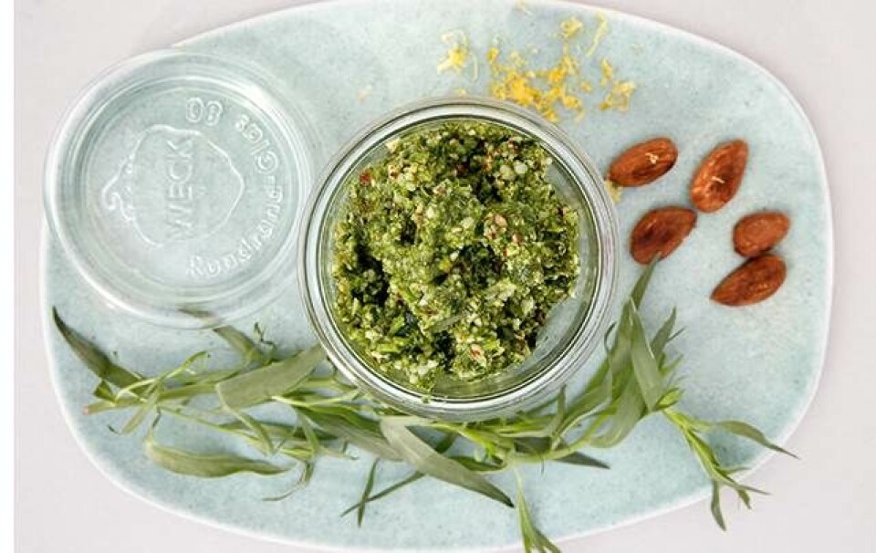 Estragonpesto