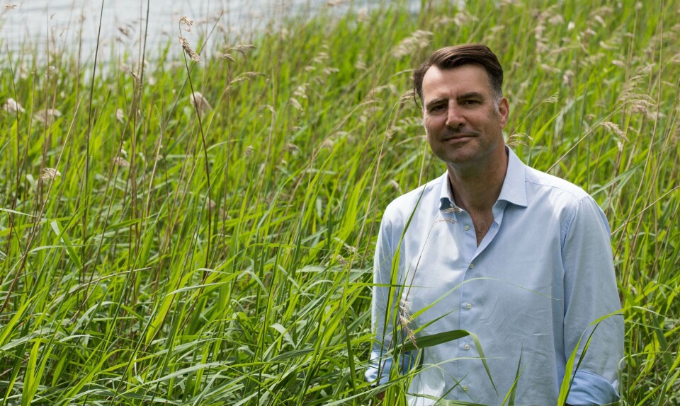 Mikael Kamber