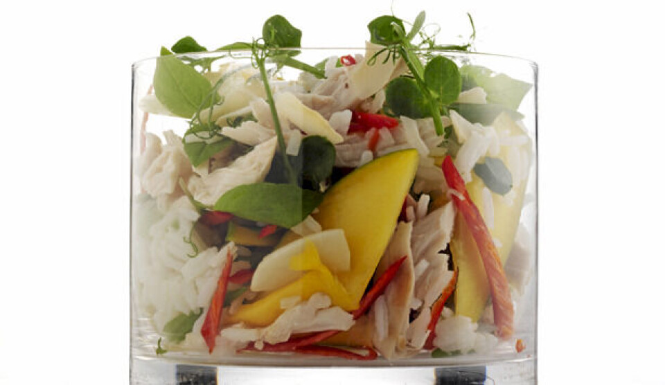 Opskrift på mangosalat med kylling