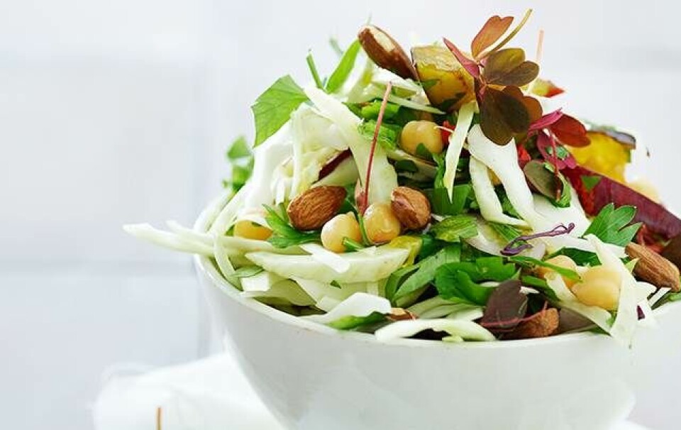 Fennikelsalat