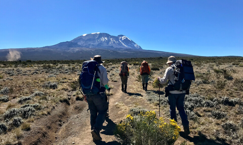 Kilimanjaro
