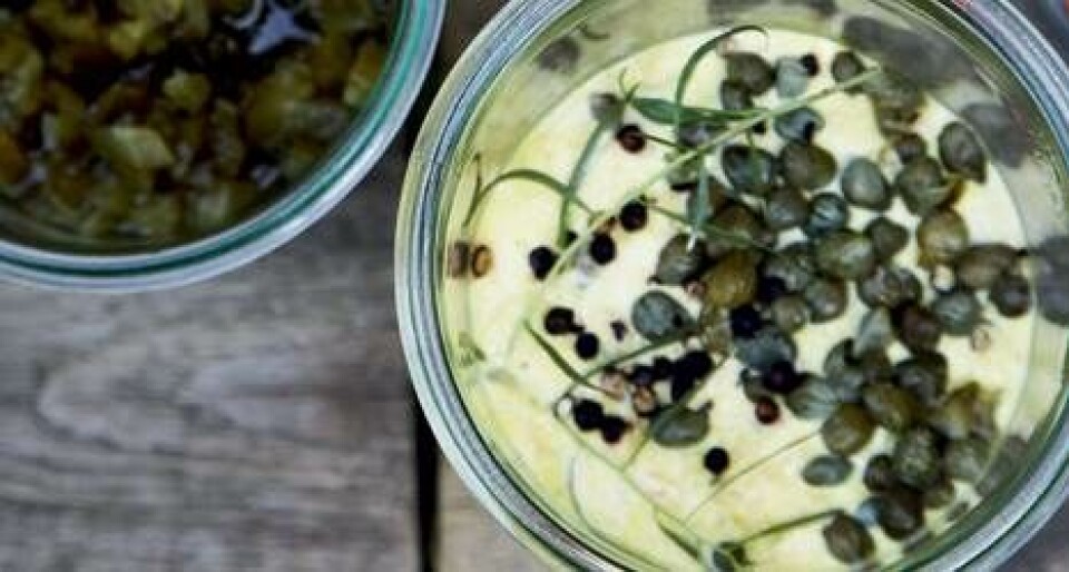 Hjemmerørt remoulade opskrift