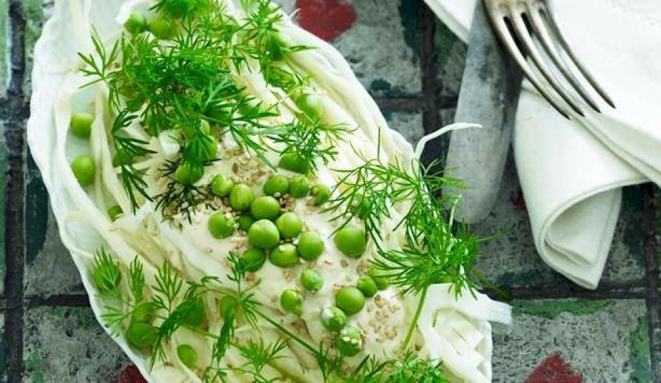 Opskrift på sommerhvidkål i yoghurtmarinade