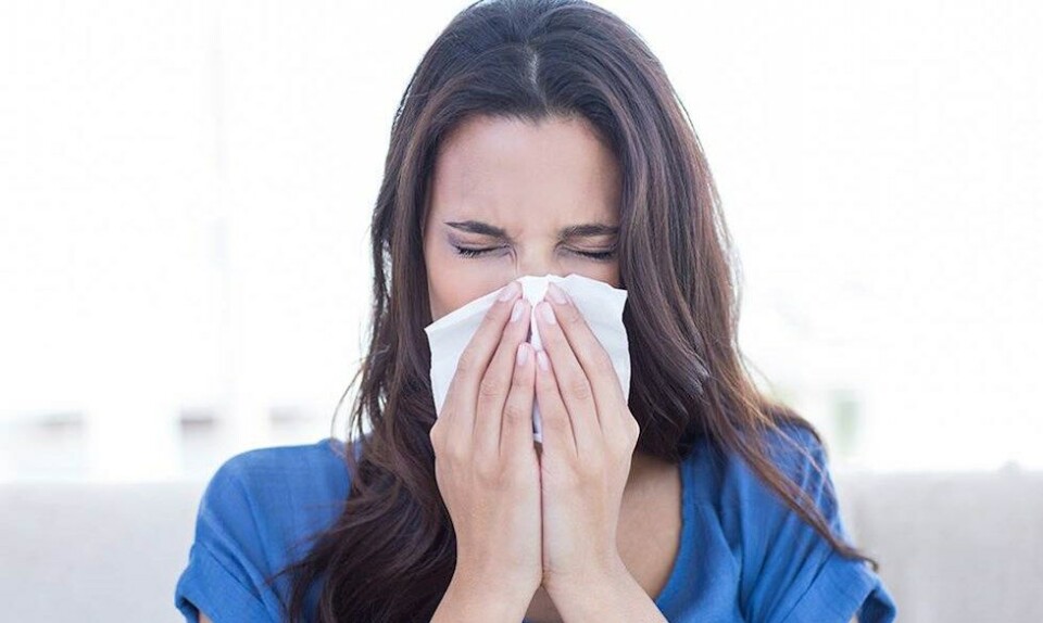 pollenallergi symptomer