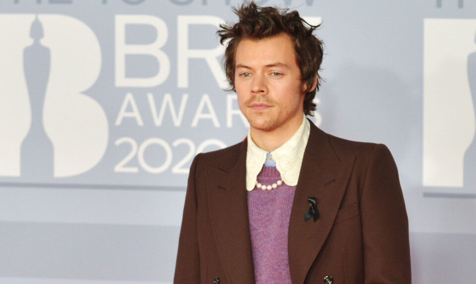 harry styles