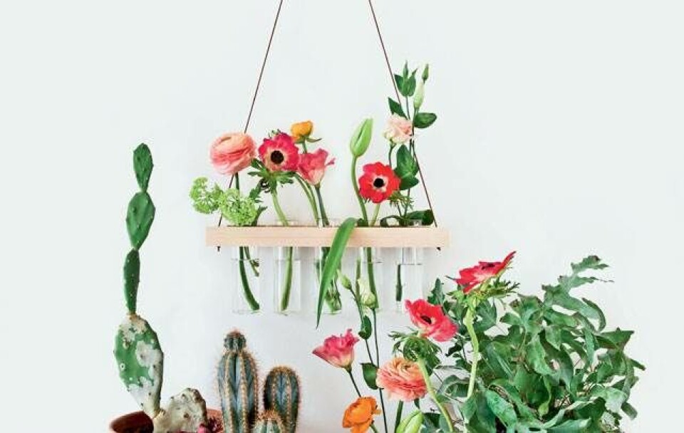 DIY