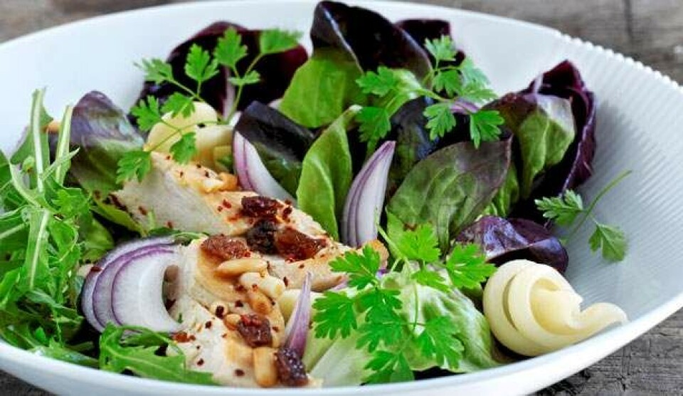 Opskrift på kyllingesommersalat