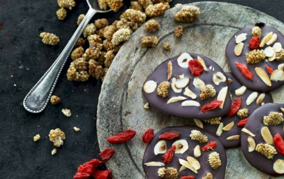 Mørk chokolade pleskner med nødder og bær