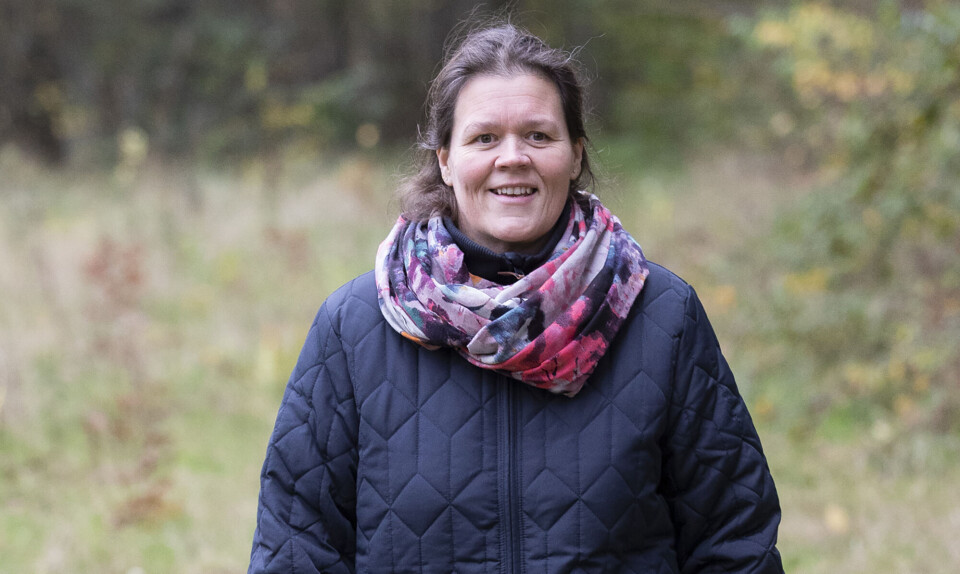 Stort vægttab