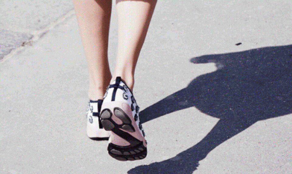 Dior Fusion Sneakers