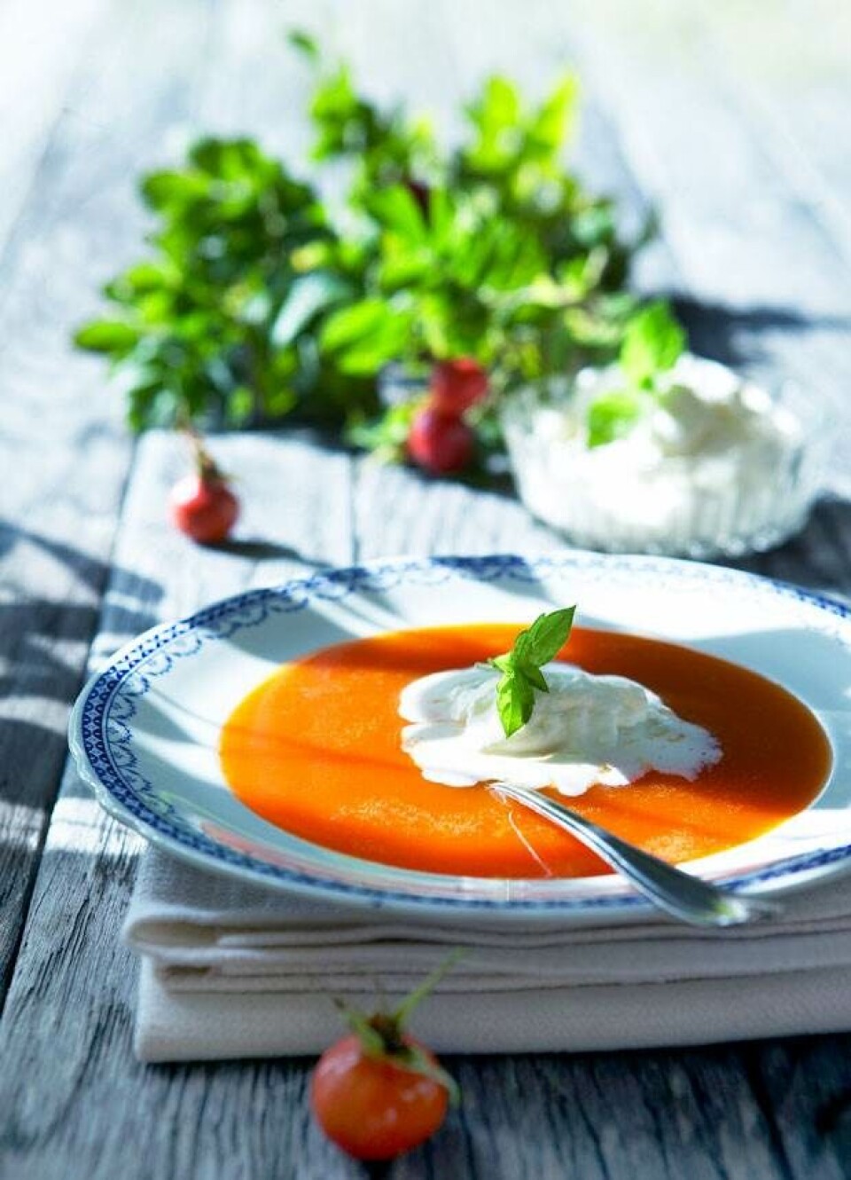 Hybensuppe