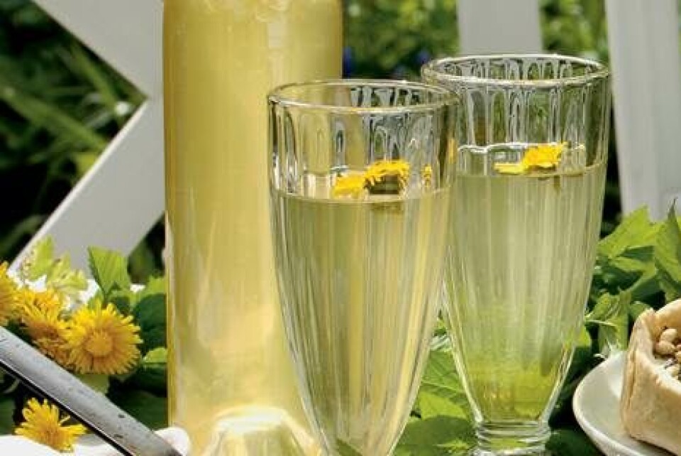 Mælkebøttesaft