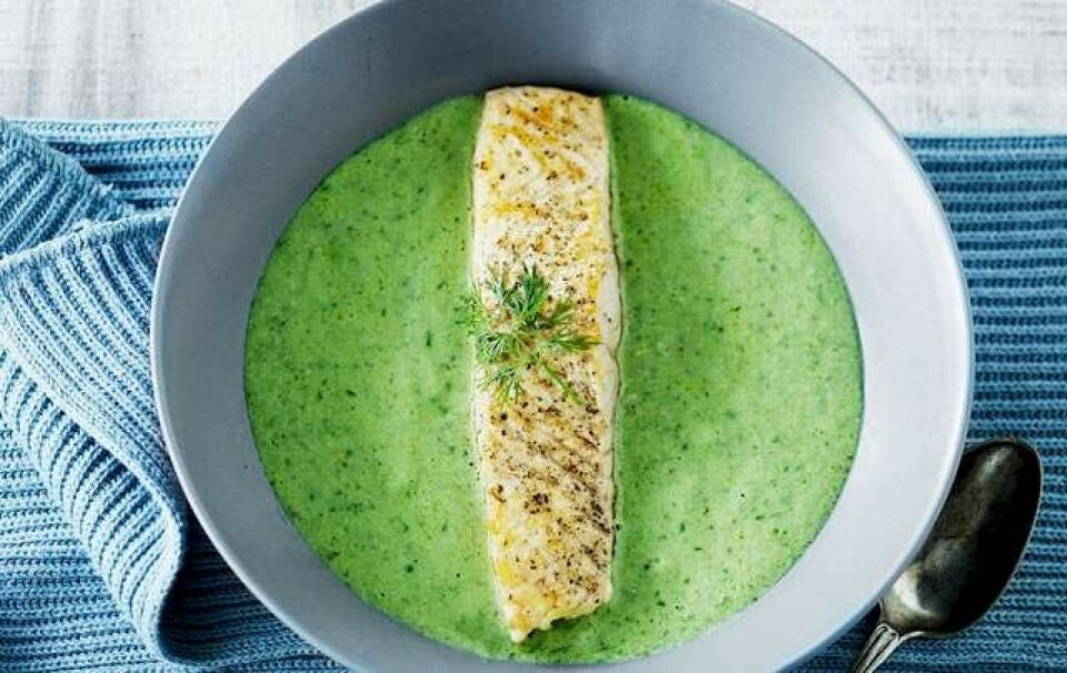 Opskrift på kold avocado-spinatsuppe med skindstegt laks
