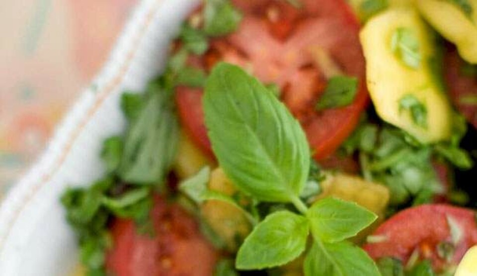 Opskrift på tomat-fersken-salat