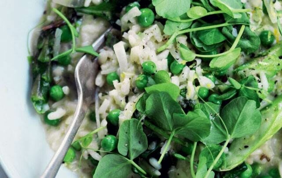 Risotto med ærter, mynte og parmesan