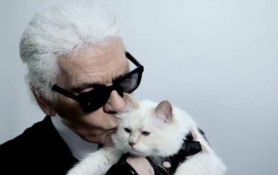 Karl Lagerfeldt avis