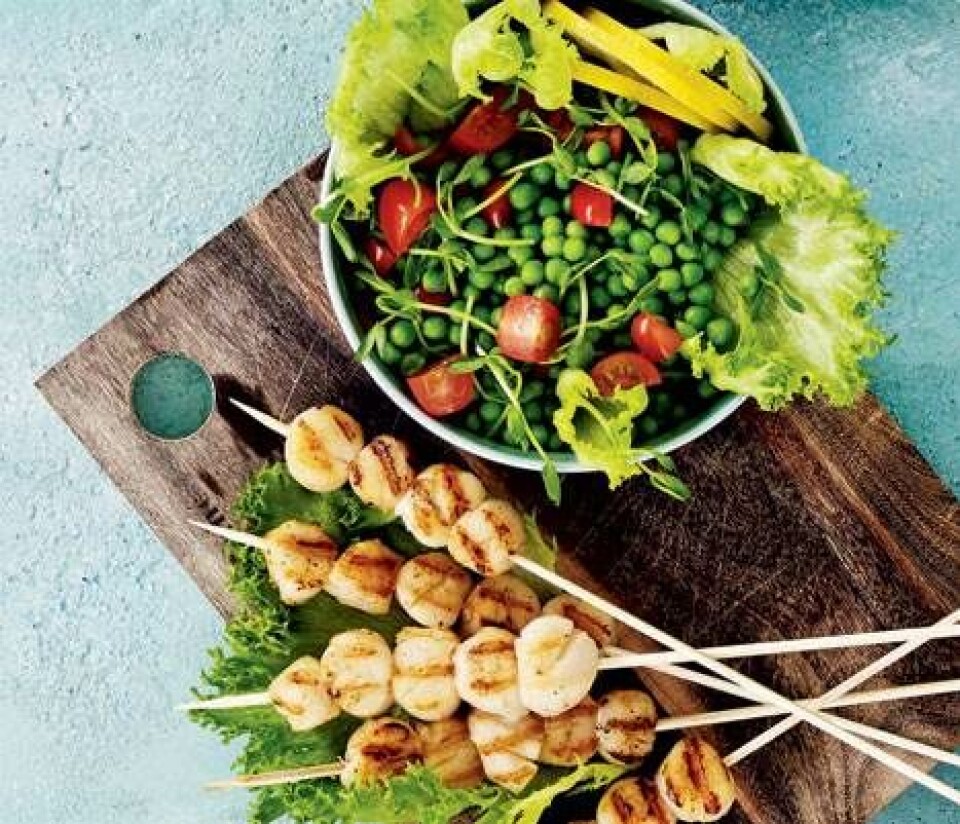 Grillede kammuslinger med ærtesalat