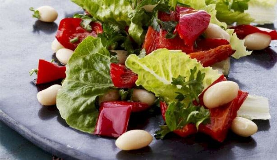 Opskrift på salat med hvide bønner