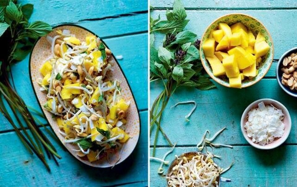 Ditte Ingemanns salat opskrifter