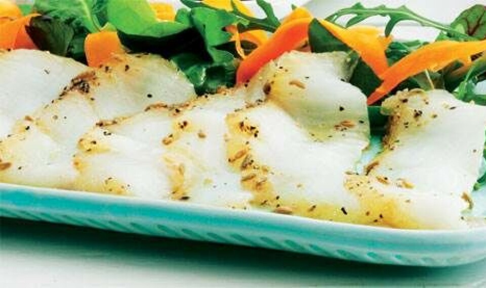 Lakridsgravad hellefisk med salat og gulerod