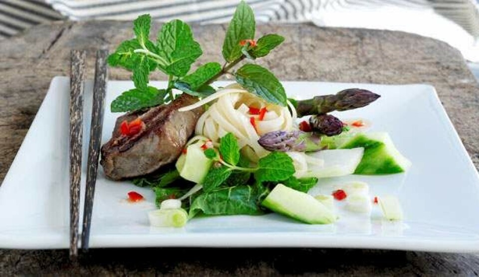 Opskrift på thai beef salad