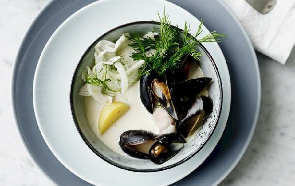 Sådan laver du muslingesuppe med fennikel
