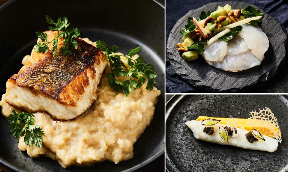 Fisk med god samvittighed: 3 skønne opskrifter på slethvar, lyssej & sandart