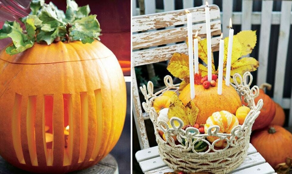 Halloween idéer: Sjov med græskar fra Hjemmet