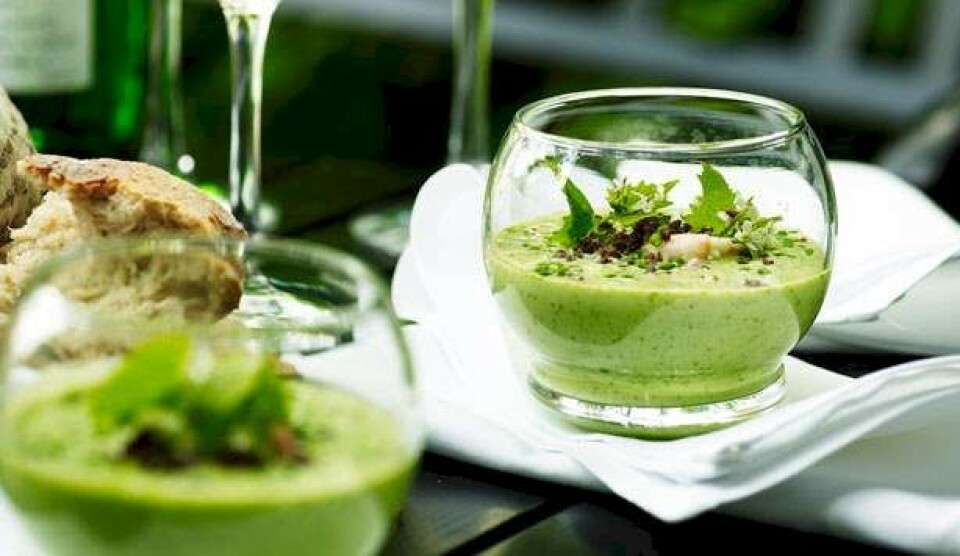 agurkesuppe opskrift med dild og fjordrejer
