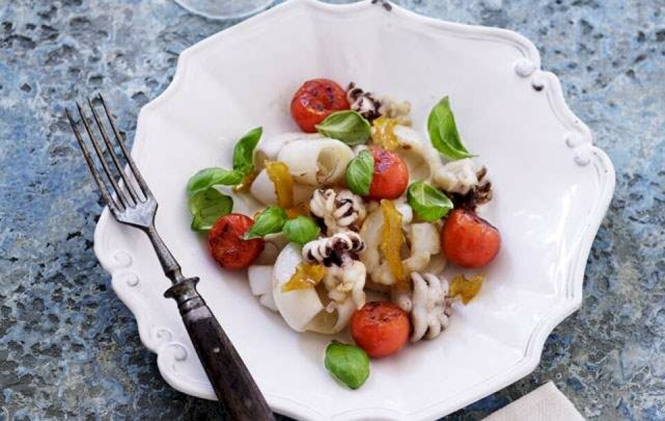 Opskrift på calamari med tomat og kandiseret citronskal