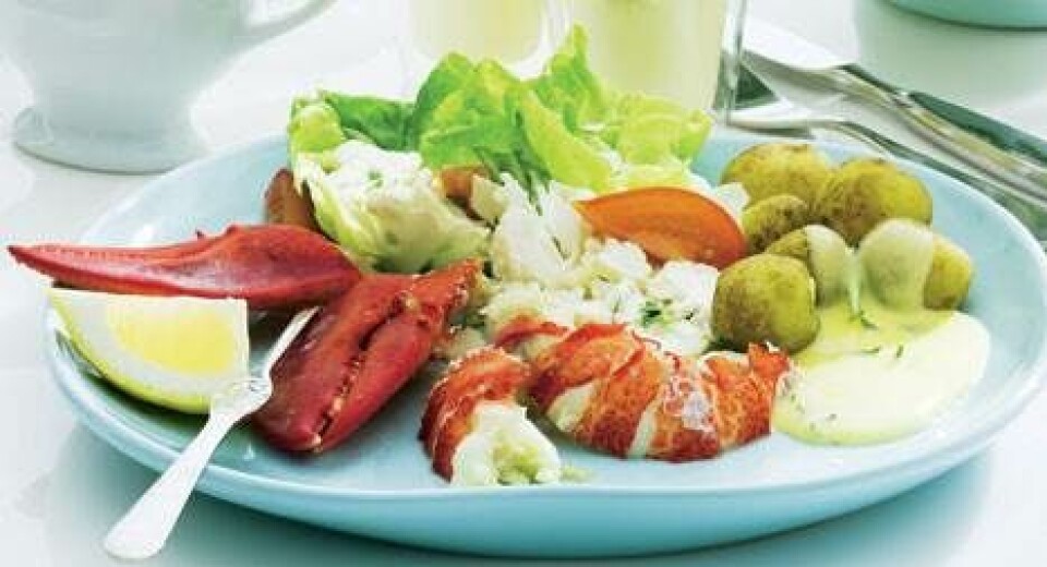 Hummer med bearnaise, blomkålssalat og kartofler