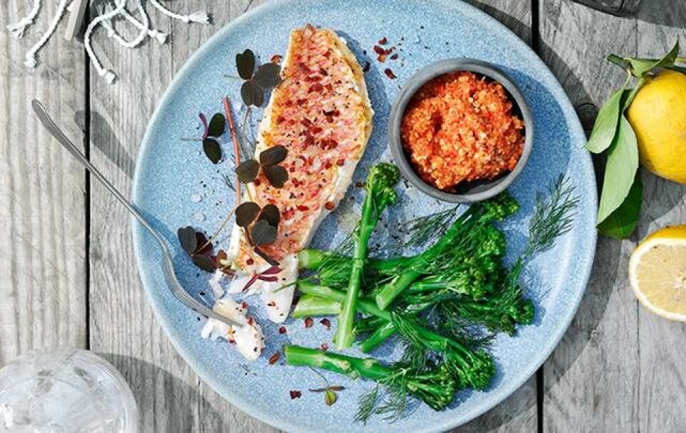 sund grillmad fisk