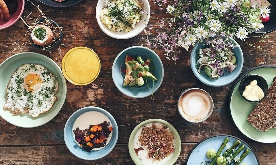 økologiske cafeer