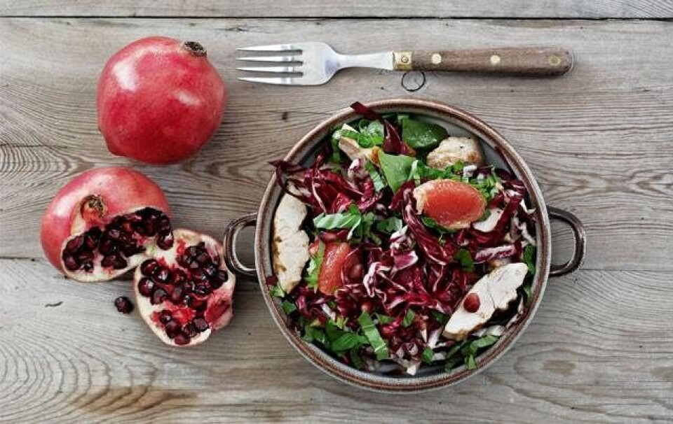 salat med kylling