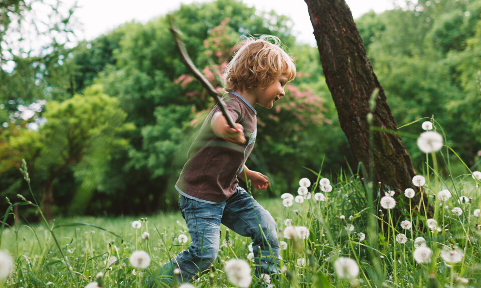 børn ud i naturen