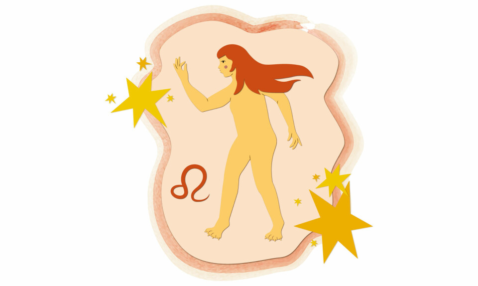 Horoskop løve illustration