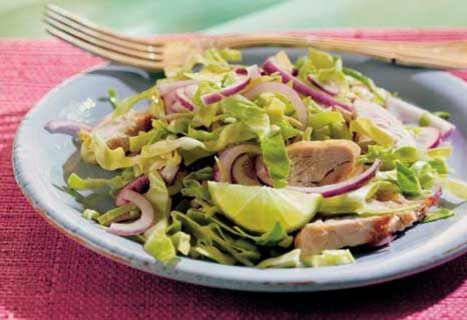 Vietnamesisk salat med kylling og spidskål