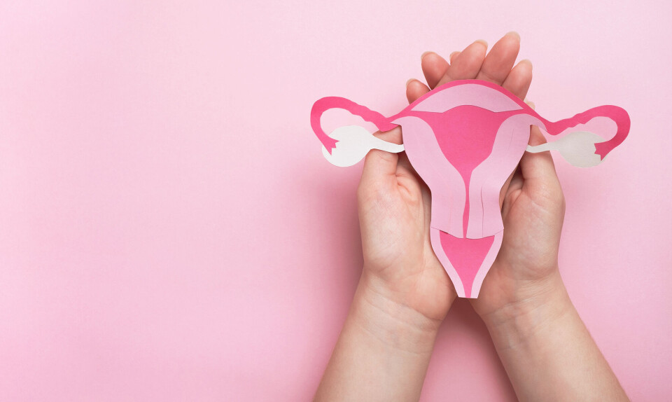 Screening livmoderhalskræft