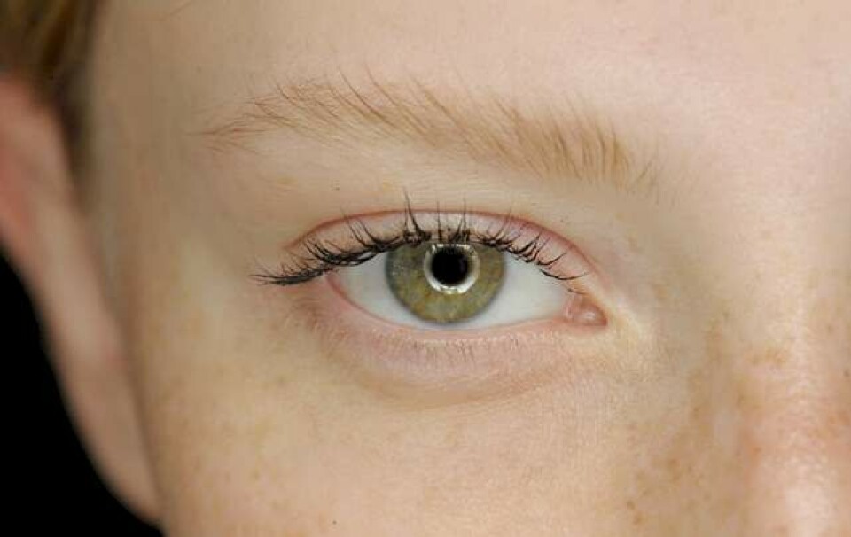 Øjenmakeup