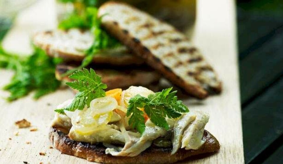 Opskrift på syltet makrel og nye løg på grillet brød