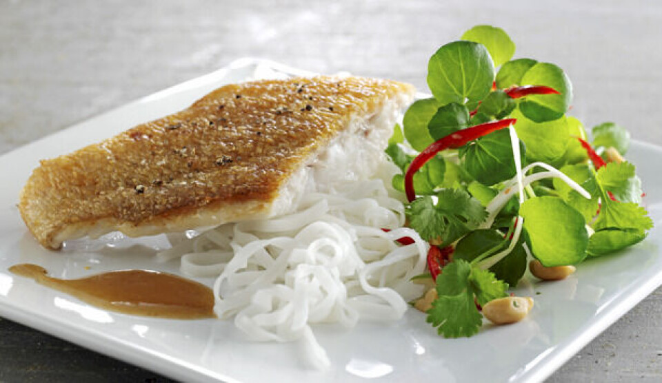 Opskrift på rødfisk, tamarinsauce og risnudler