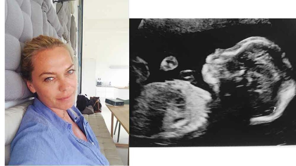 Gravid