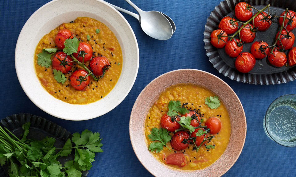 daal opskrift