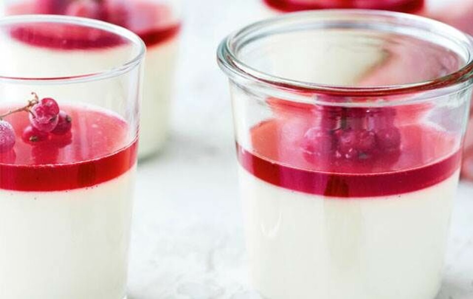 Pannacotta med ribsgele